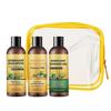 Conjunto de Shampoo, Condicionador e Gel de Banho Fortalecedor Alecrim Menta Anti Queda de Cabelo. Proporciona Nutrição, Reduz o Frizz e Adiciona Brilho para Todos os Tipos de Cabelo