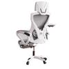 ZISIZ Ergonomic Home Office Chair