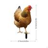 Huhn Dekorativer Gartenstecker Tier Lustige Henne Acryl Hof Kunst Dekor Ornament für Weg,
