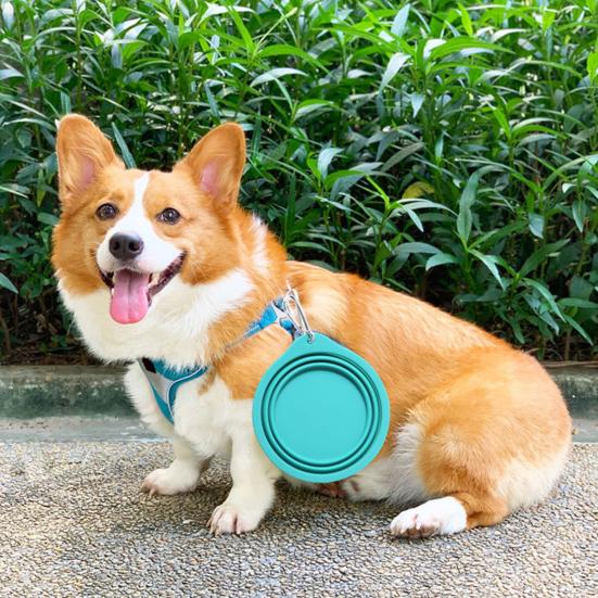 600ML Pet Bowl Convenient Foldable Silicone Dog Bowls Portable Easy To Clean Cat Dog Food Bowl Pet Supply