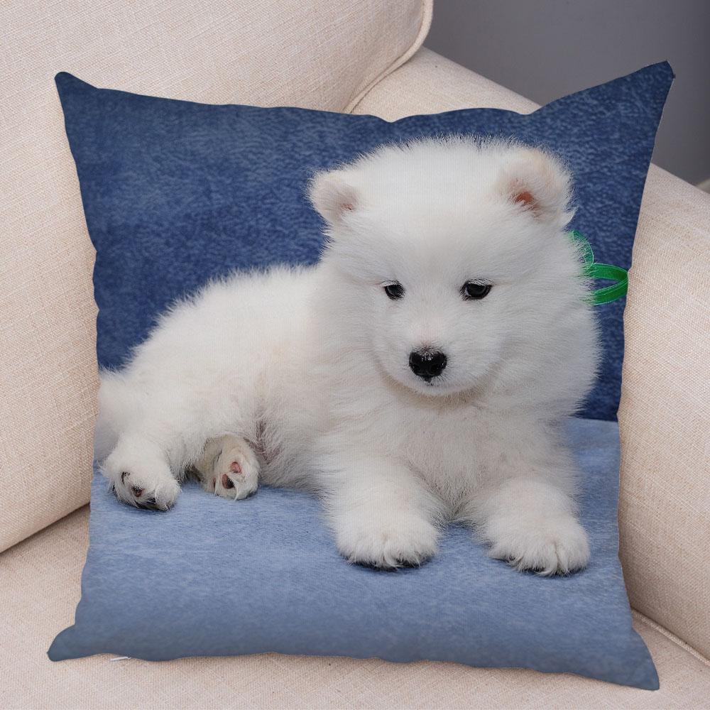 50 Stil Husă de Pernă Câine Alb Drăguț Samoyed Decor Husă de Pernă Animal de Companie Iubitor Husă de Pernă Moale de Pluș pentru Canapé Cameră Copii