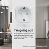 European Standard WiFi Smart Socket with Google Alexa/Alice Voice-Controlled Timing