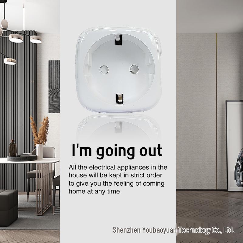 European Standard WiFi Smart Socket with Google Alexa/Alice Voice-Controlled Timing