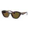 Mirror Side Logo Design Acetate Butterfly Sunglasses Women's Tortoiseshell