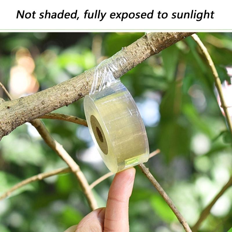 5pack High Elasticities Grafting Film for Secure Plant Wrapping and Protecting in Garden Landscapes