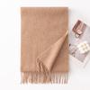 Autumn and Winter New Solid Color Scarf for Women Versatile Neck Scarf Thickened Warm Shawl Simple Tassel