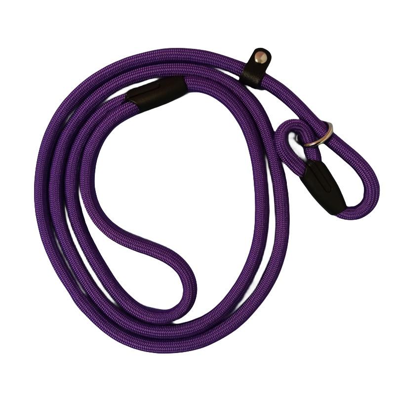 Small Dog Outdoor No-Pull Training Leash & Rope