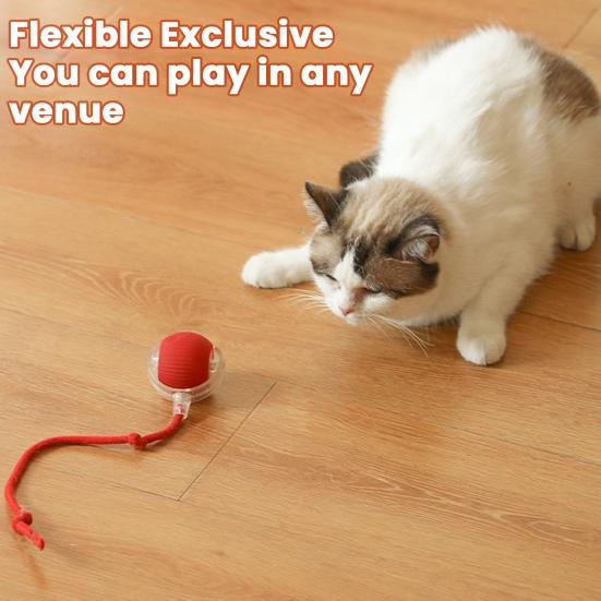 Cat Interactive Ball Toy Automatic Rolling 3 Modes Cat Toy Ball USB Charging Cat Self-Play Ball with Rope for All Indoor Cats