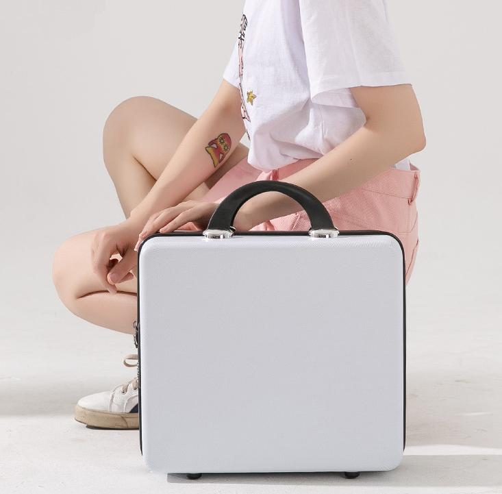 Internet Celebrity Daisy Suitcase Women's Large Capacity Makeup Bag 16 Inch Suitcase Travel Storage Box Portable Gift