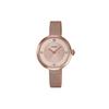 Women's Standard Series 31.5mm Gold Watch LTPE154MPG-4A LTPE154MPG-4A