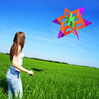 3D Lotus Kite Easy To Fly Heavy Duty Outdoor Beach Park Lawn Kids Adults Kite Toy Family Toddlers Boys Girls Beginner Colorful Flying Kite