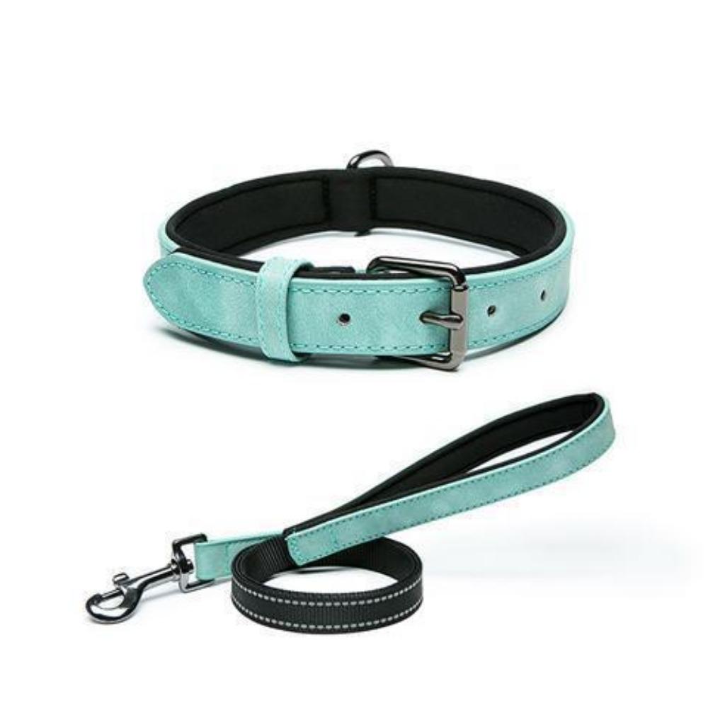 Symphony PU Reflective Collar Pet Supplies New Dog Supplies Neck Ring Traction Rope