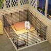 Indoor Dog Gate for Small Breeds: Teddy, Bichon Frise, Corgi, Chihuahua
