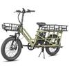 Fafrees FF20 CUV Electric Cargo Bike 250W with48V 12Ah Dual Batteries 20inch
