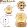 Crystal Dandelion Ball Night Light with Wooden Base USB Powered Dandelion Crystal Ball Night Lamp Fancy 3D LED Night Light Portable Night Lamp