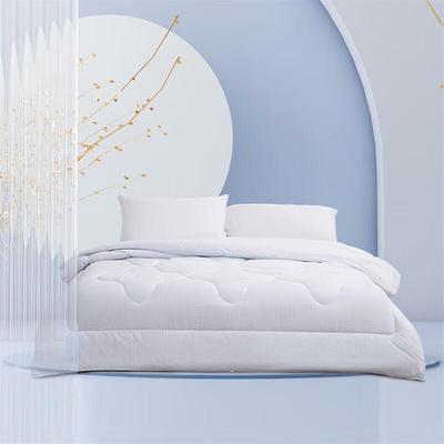 Mercury Home Textiles All-Season Antibacterial Quilt