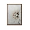 Delicate White Dahlia Delicate White Dahlia, 30X40 Cm, Dark Brown Wooden Frame, 230 Gsm Matte Paper