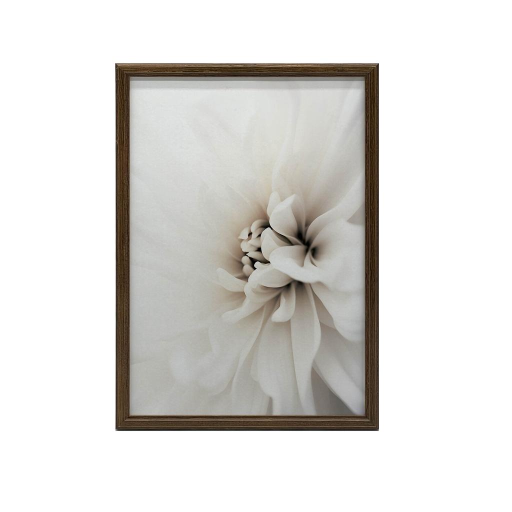 Delicate White Dahlia Delicate White Dahlia, 30X40 Cm, Dark Brown Wooden Frame, 230 Gsm Matte Paper