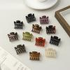 Mini Hair Grab Trend High Ponytail Grab Clip Braided Hair Side Clip Simple Matte Glossy Top Clip