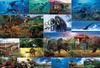 Beverly 150 Large Jigsaw Paleontology X 38 Puzzle (26 Cm) L74-193
