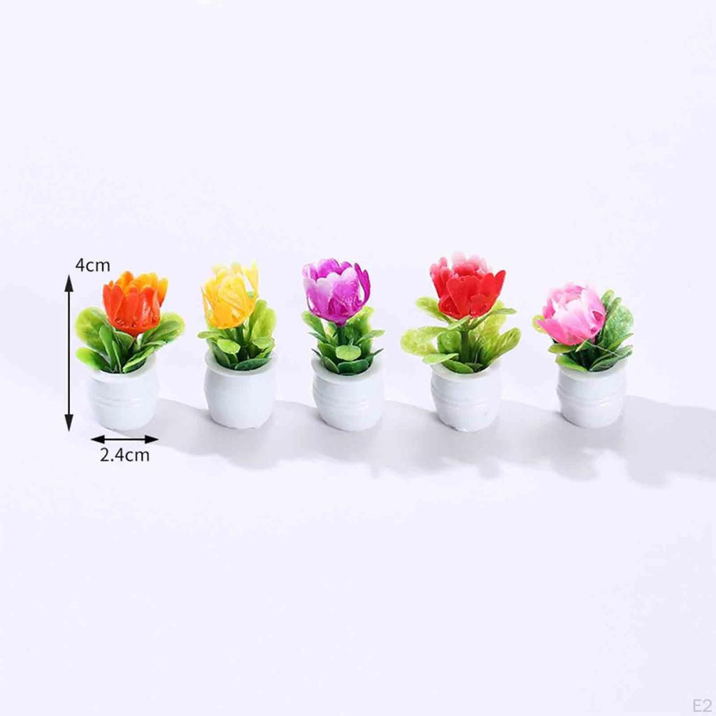 Miniature Bonsai Plant Set for Dollhouse Decor