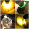 Alonefire SV123 EDC 365nm UV Yellow and White USB Pet Urine for Gemstones and with Small Focusing Flashlight, Small, Blacklight, Light, Type-C