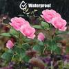 Solar Powered Rose Flower Lights Large Garden Outdoor Decoration Waterproof Lighting Lawn Landscape Lighting
