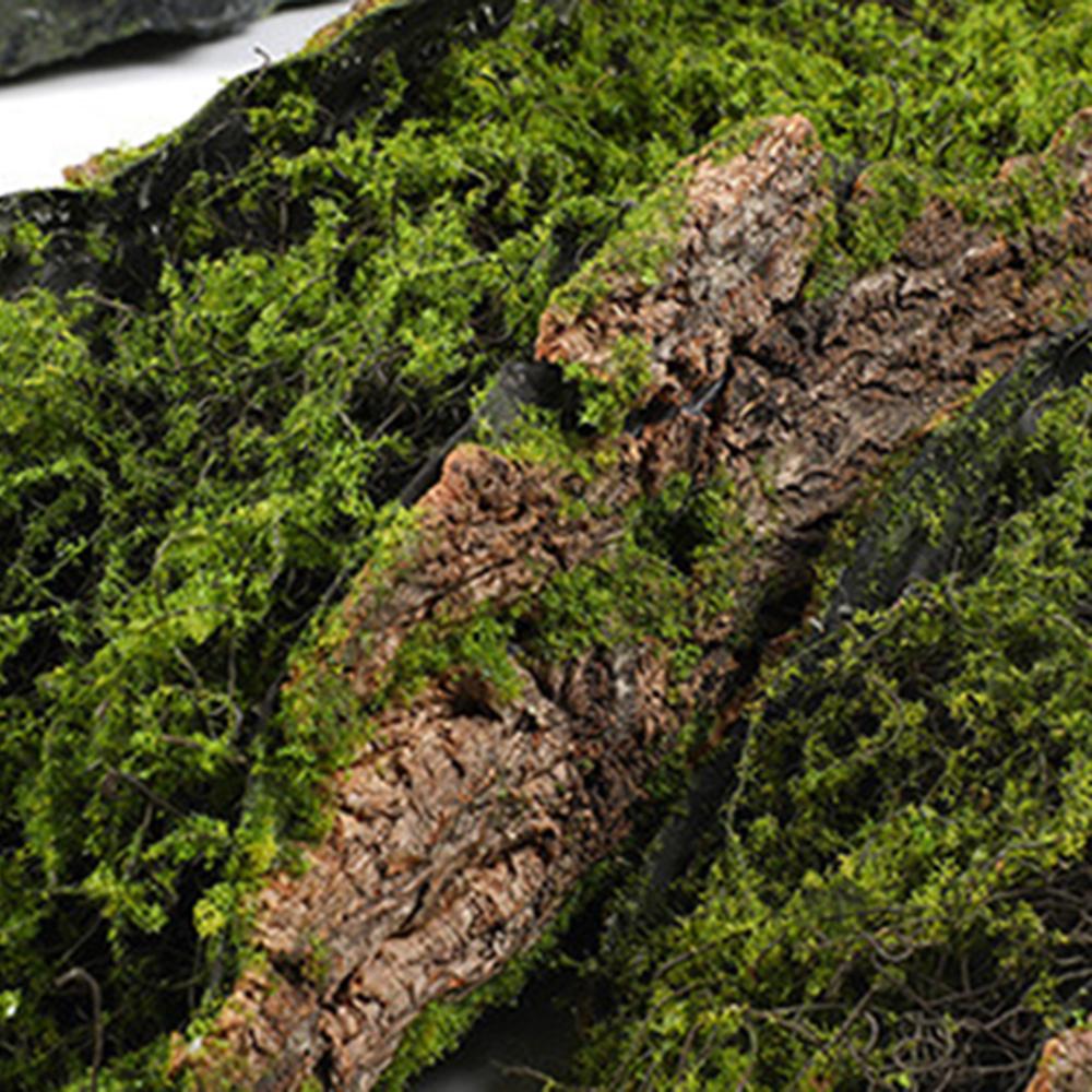 1 Imitationsrinde Moos Pflanzmoosblöcke DIY Simulation Grüne Pflanzen Für Gartendekoration