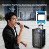 SAST 15-inch Outdoor Portable Bluetooth Karaoke Speaker CN plug (adapter included)