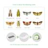 Premium Pantry Clothes Kitchen Food Moth Pheromone Attractant Moth Killer Pheromone Moth Trap