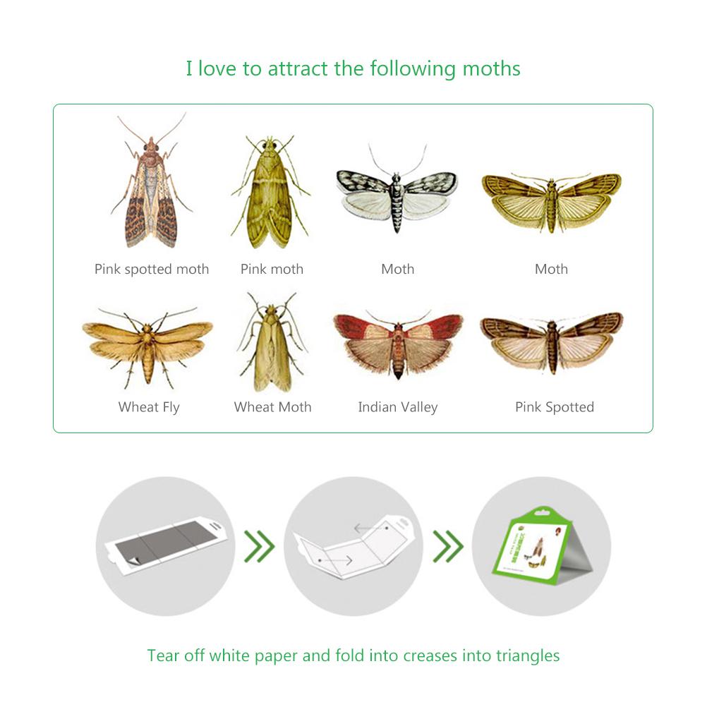 Premium Pantry Clothes Kitchen Food Moth Pheromone Attractant Moth Killer Pheromone Moth Trap