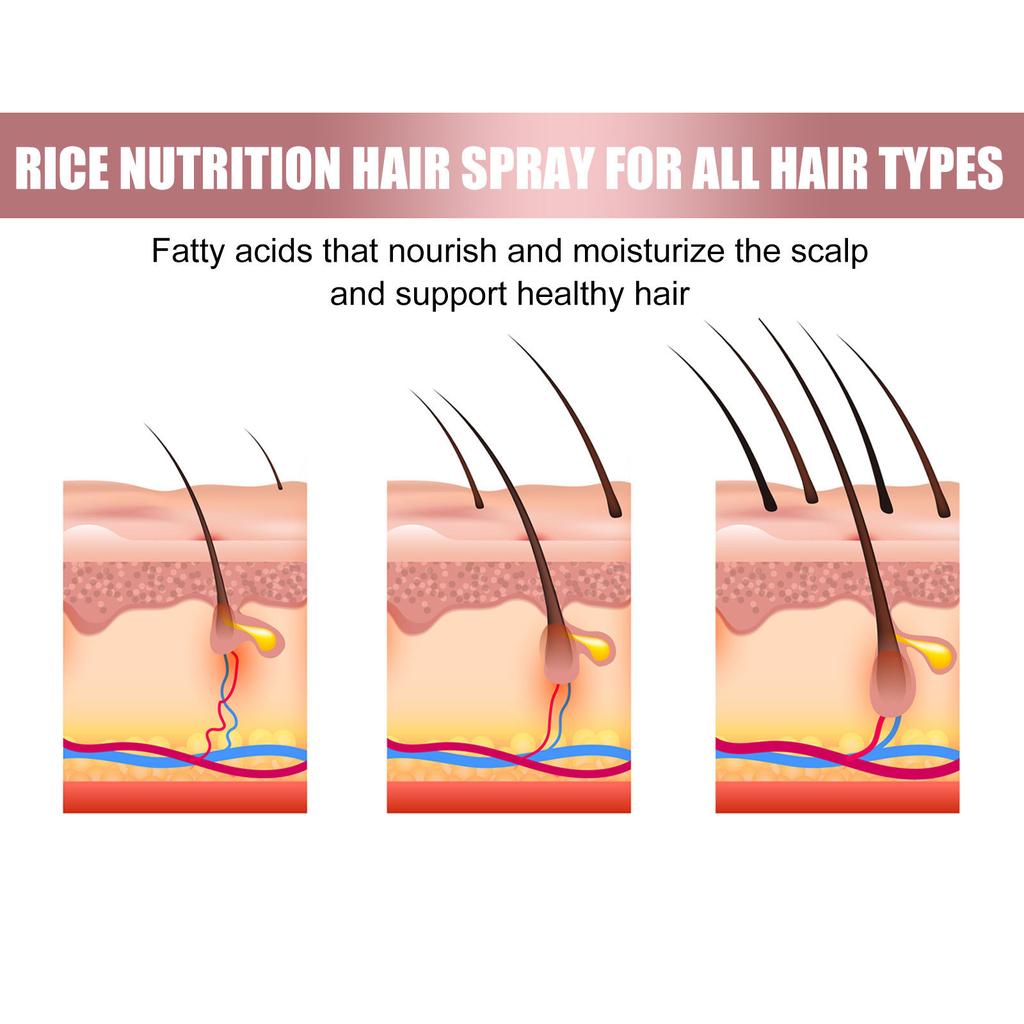 EELHOE Fermented Rice Water Serum Natural Gentle Rice Water Fermented Rice Water Hair Essence Hair Growth Serum For Thinning Hair 50ml