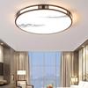 Modern Atmospheric Ceiling Light for Living Room, Balcony & Master Bedroom