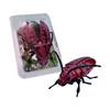 Realistic Beetle Insect Model Toy Crawling Bug Replica Educational Collectible for Kids and Adults Durable Plastic Construction
