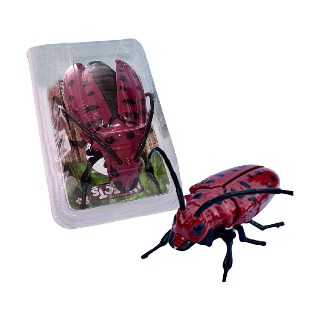 Realistic Beetle Insect Model Toy Crawling Bug Replica Educational Collectible for Kids and Adults Durable Plastic Construction
