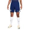 Inter Milan Soccer Bottom Men's HJ6752-492