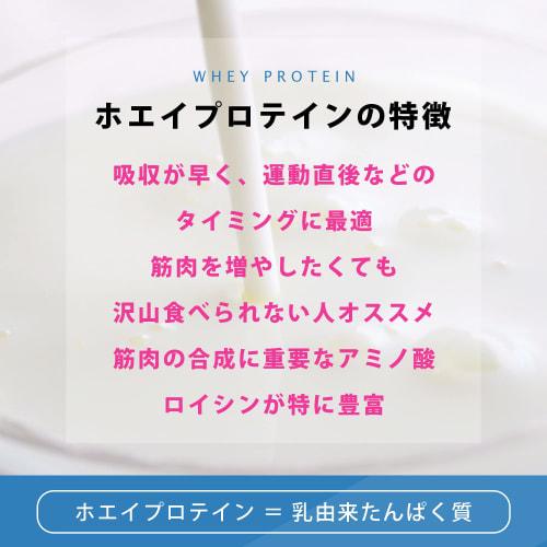 Welina. Welina Whey Protein (Caffe Latte Flavor) 500g, Supervised by Takuro Mori, Made In Japan, No Artificial Sweeteners