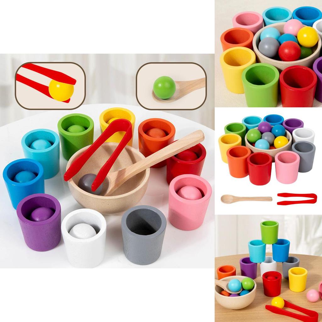Wooden Montessori Color Sorting Cups Educational Toy For Childrens Cognitive Development