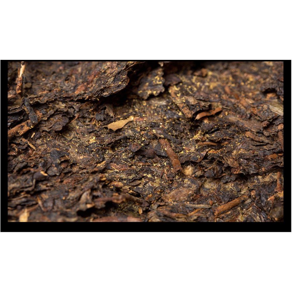 World Expo Fu Tea Anhua Dark Tea Brick 350g