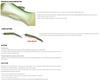 Deps New Slide Swimmer 300 Floating Jointed Lure 09 (6090)