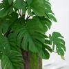 Artificial Amphibian Plants Terrarium Leaves Habitat Decor for Iguana for Turtle