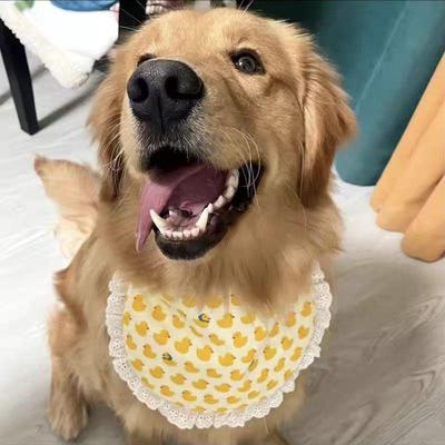 Pet Dog Saliva Bib for Small To Large Dogs: Cute Scarf for Samoyeds, Golden Retrievers, Huskies, and Alaskans