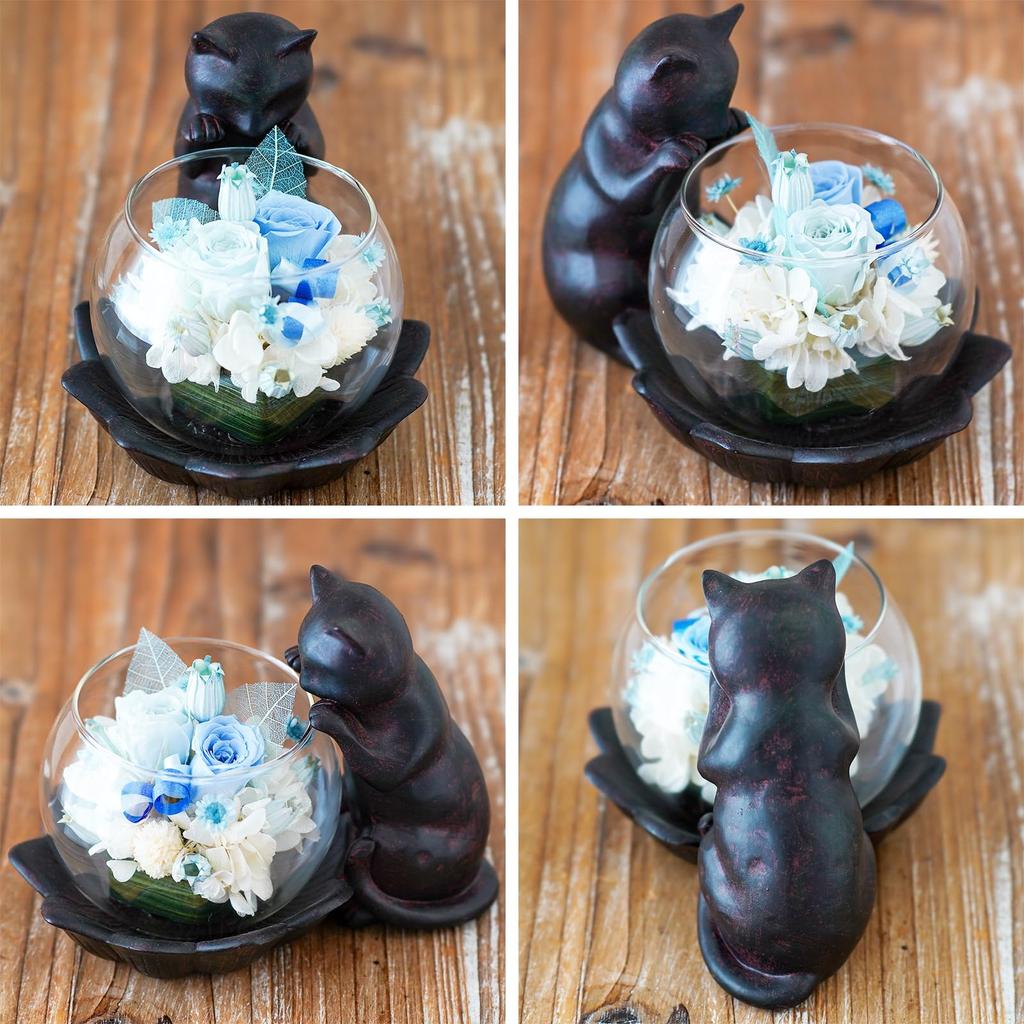 Utihana Rosa Preservada Gato Perfecto para y Otras Ocasiones Especiales Flores de Gato, Motivo, Cumpleaños, Jubilaciones, (Azul, Amante)