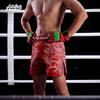 ANOTHERBOXER Ejderha MMA Şortları BJJ Jiu Jitsu Muay Thai Antrenman Spor Salonu Egzersiz Performans Pantolonu