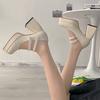 One Word with High Heels Single Shoes Women's 2025 Spring New Korean Version Platform Thick Heel Square Head French Retro Mary Jane Shoes Tide