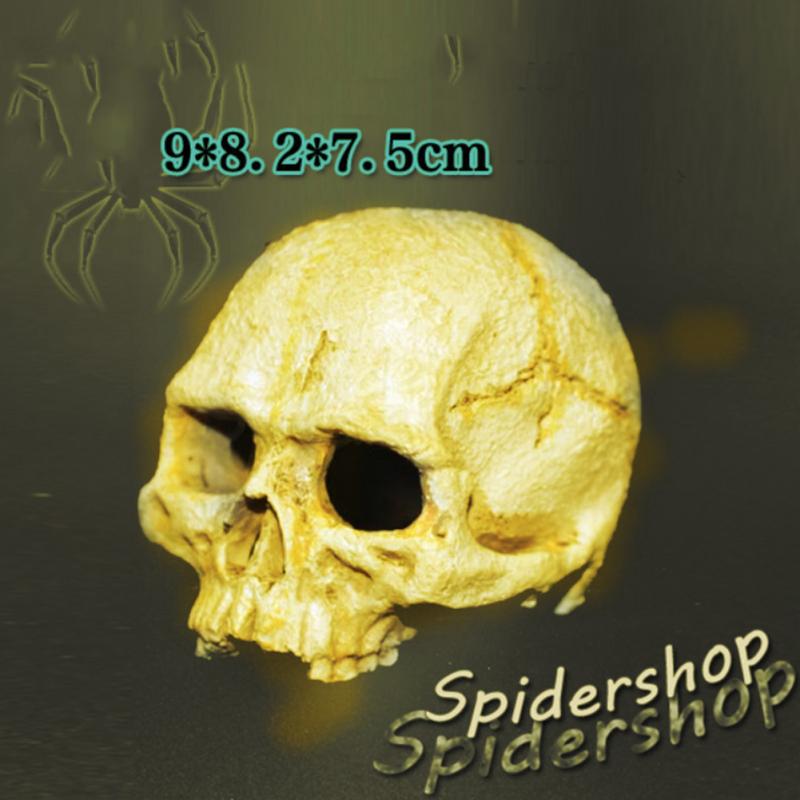 Human Skull  Model Fishtank Aquarium Landscaping Accessories For Scorpion Spider Lizard Snake