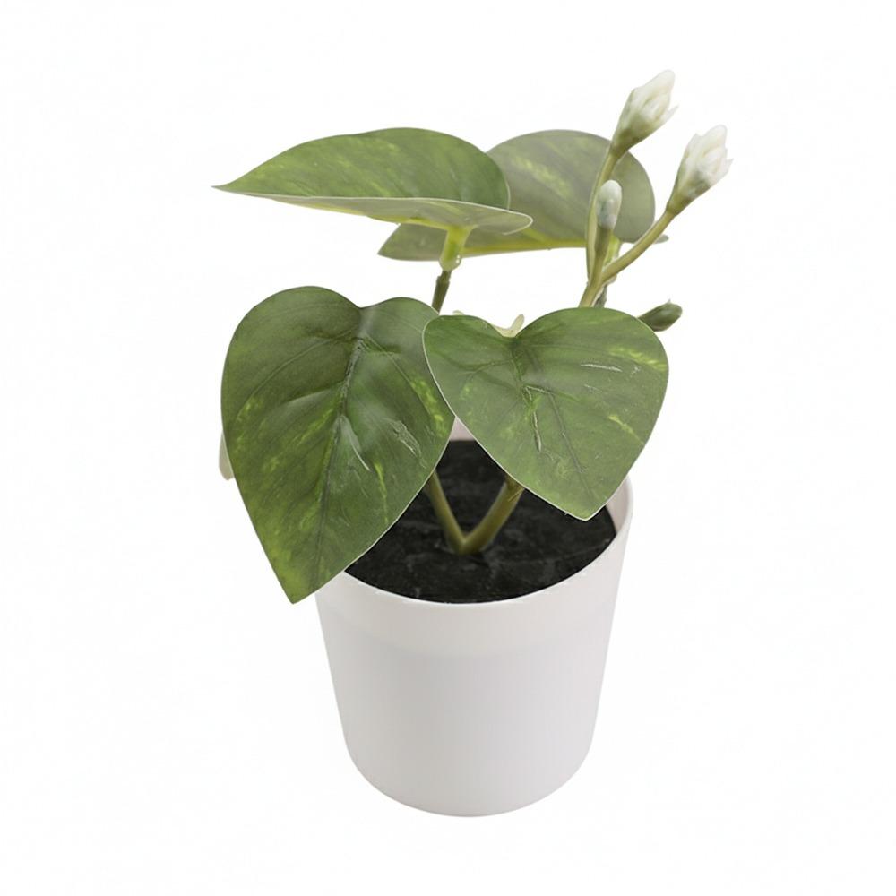 Green Green Plant Potted Greenery Desktop Ornament High Quality Artificial Grass Bonsai  Windowsill