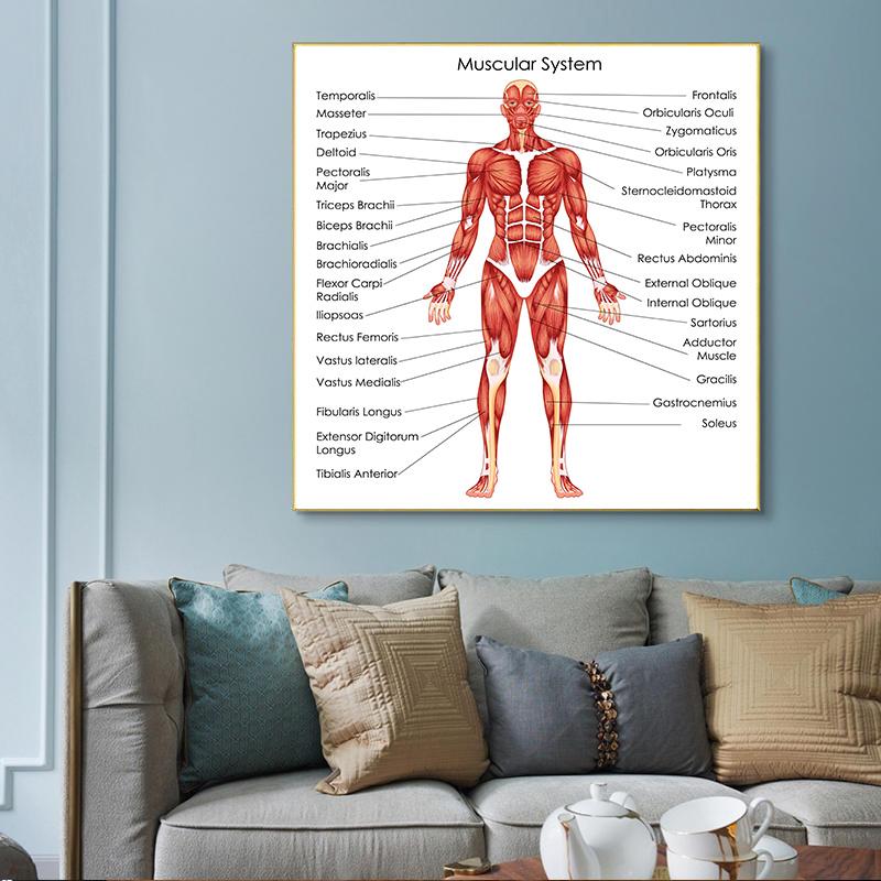 Human Organs Brain Liver Heart Anatomy Poster Print Canvas Painting Human Body Map Medical Classroom Office Room Home Decoration