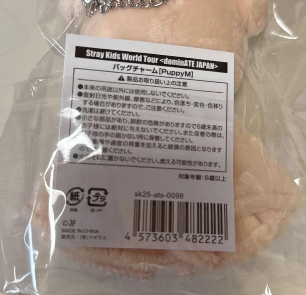 [USED] Straykids Teru Teru Bouzu Papim Seungmin Bag Charm ATE