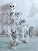 Halloween Horror Skeleton Statue Movable/Posable Joints Decorative Skull Sculpture Full Size for Yard Garden Patio Haunted House